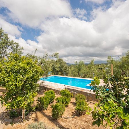 Hakuna Matata Holidays Wooden Lodge With Airco & Pool In Greek Olive Grove Methóni Kültér fotó