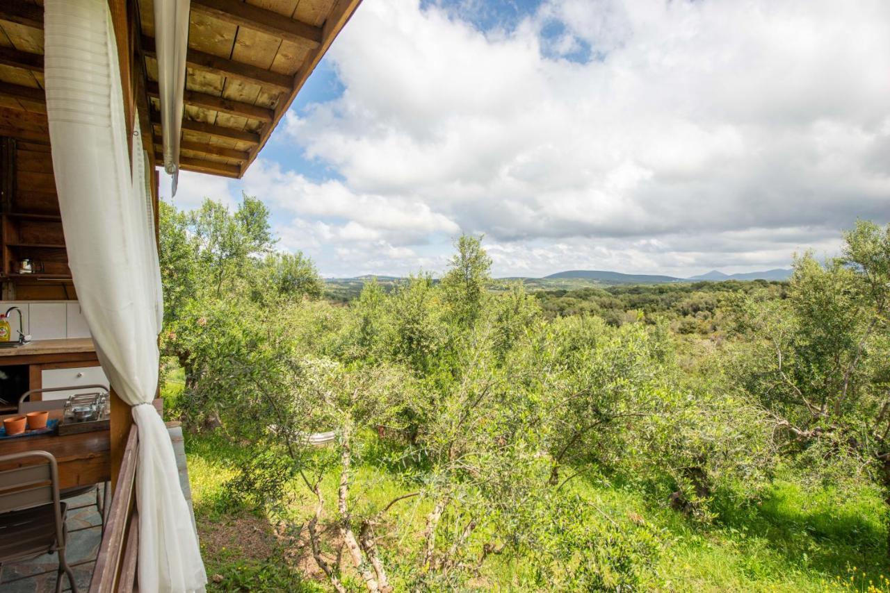 Hakuna Matata Holidays Wooden Lodge With Airco & Pool In Greek Olive Grove Methóni Kültér fotó