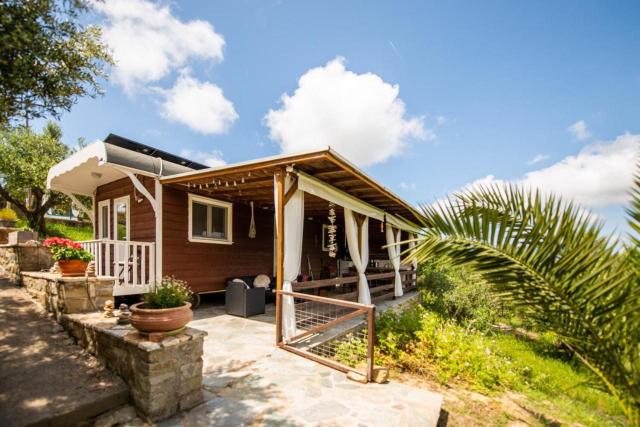 Hakuna Matata Holidays Wooden Lodge With Airco & Pool In Greek Olive Grove Methóni Kültér fotó