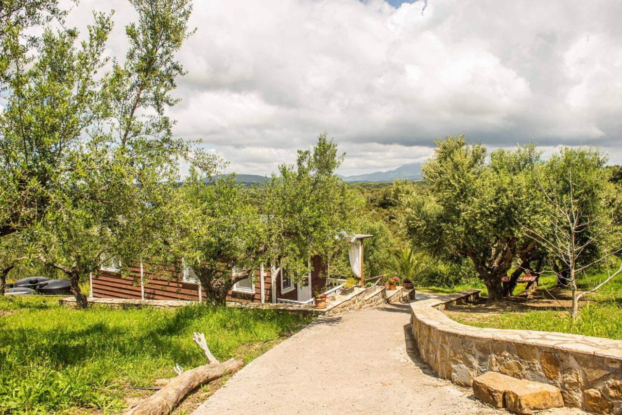 Hakuna Matata Holidays Wooden Lodge With Airco & Pool In Greek Olive Grove Methóni Kültér fotó