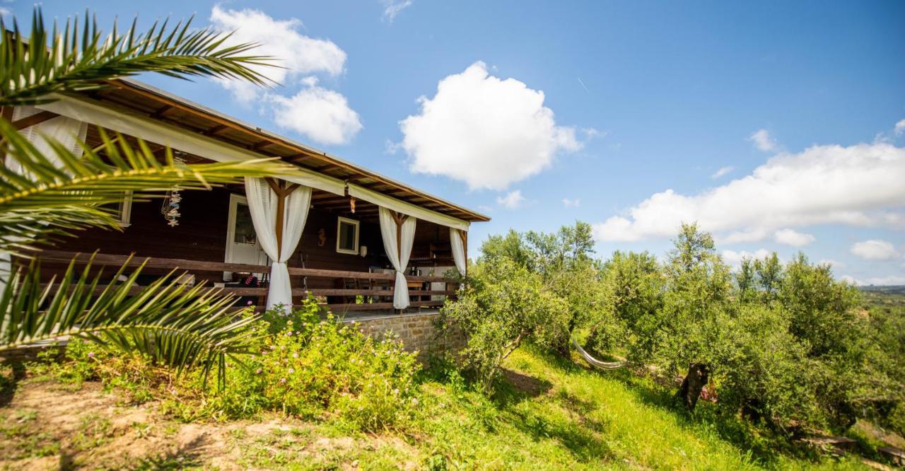 Hakuna Matata Holidays Wooden Lodge With Airco & Pool In Greek Olive Grove Methóni Kültér fotó
