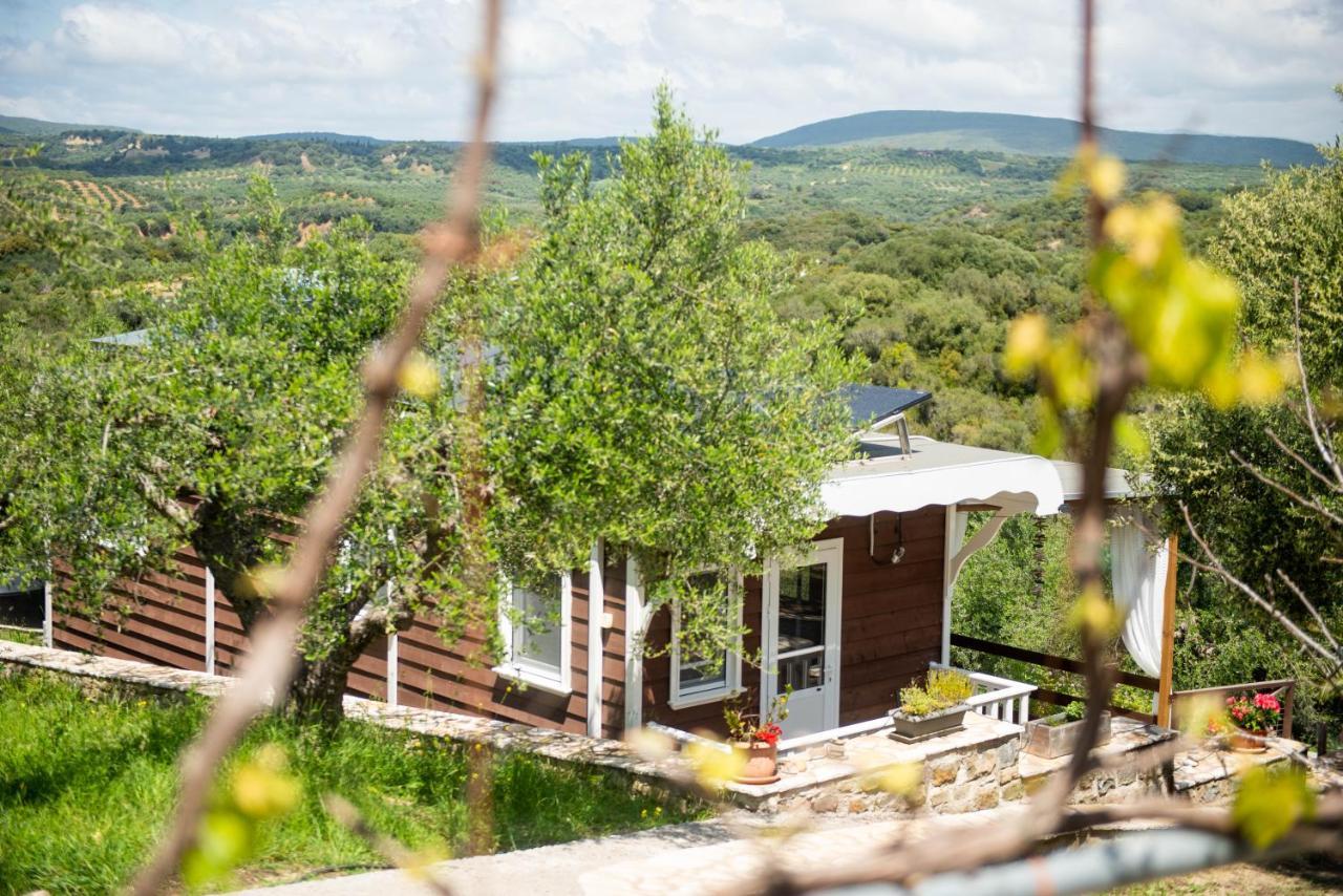 Hakuna Matata Holidays Wooden Lodge With Airco & Pool In Greek Olive Grove Methóni Kültér fotó