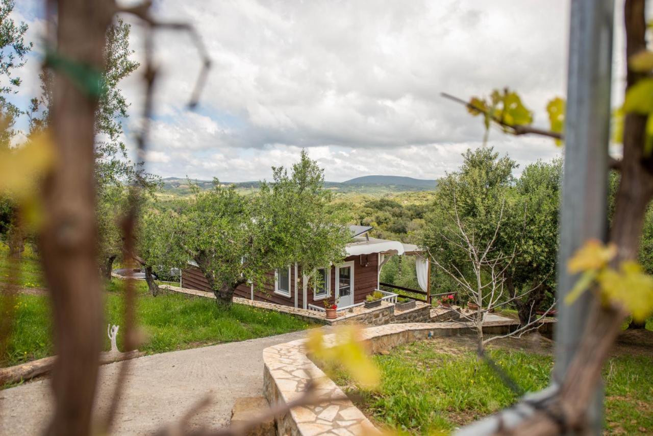 Hakuna Matata Holidays Wooden Lodge With Airco & Pool In Greek Olive Grove Methóni Kültér fotó