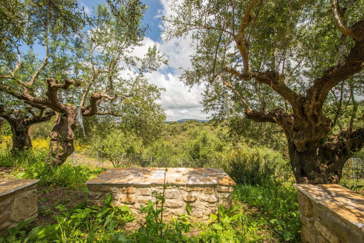 Hakuna Matata Holidays Wooden Lodge With Airco & Pool In Greek Olive Grove Methóni Kültér fotó