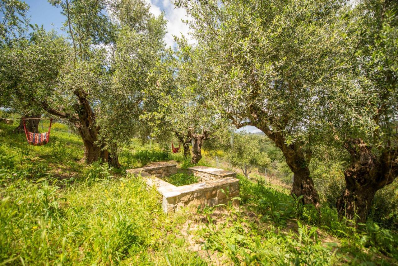 Hakuna Matata Holidays Wooden Lodge With Airco & Pool In Greek Olive Grove Methóni Kültér fotó