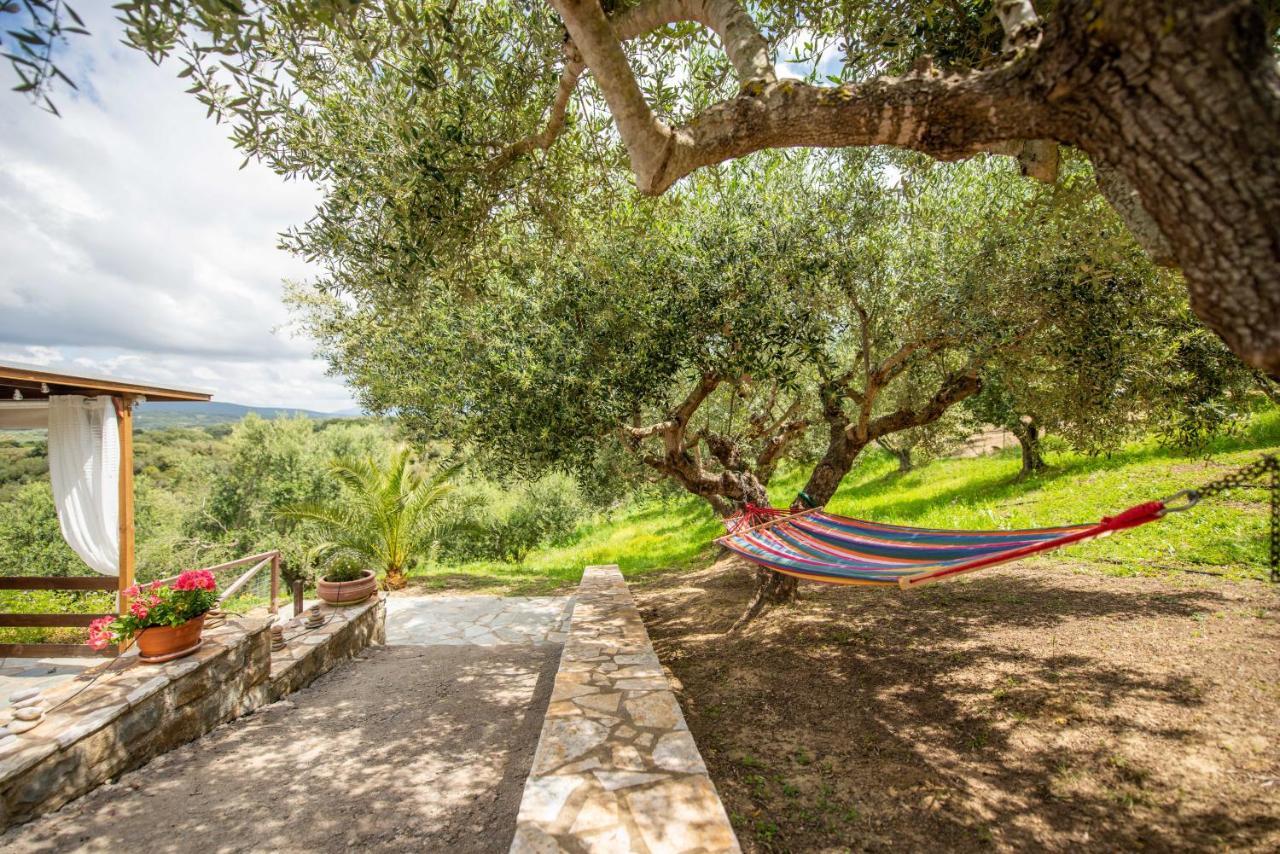 Hakuna Matata Holidays Wooden Lodge With Airco & Pool In Greek Olive Grove Methóni Kültér fotó