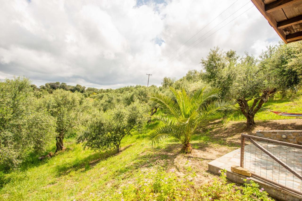 Hakuna Matata Holidays Wooden Lodge With Airco & Pool In Greek Olive Grove Methóni Kültér fotó