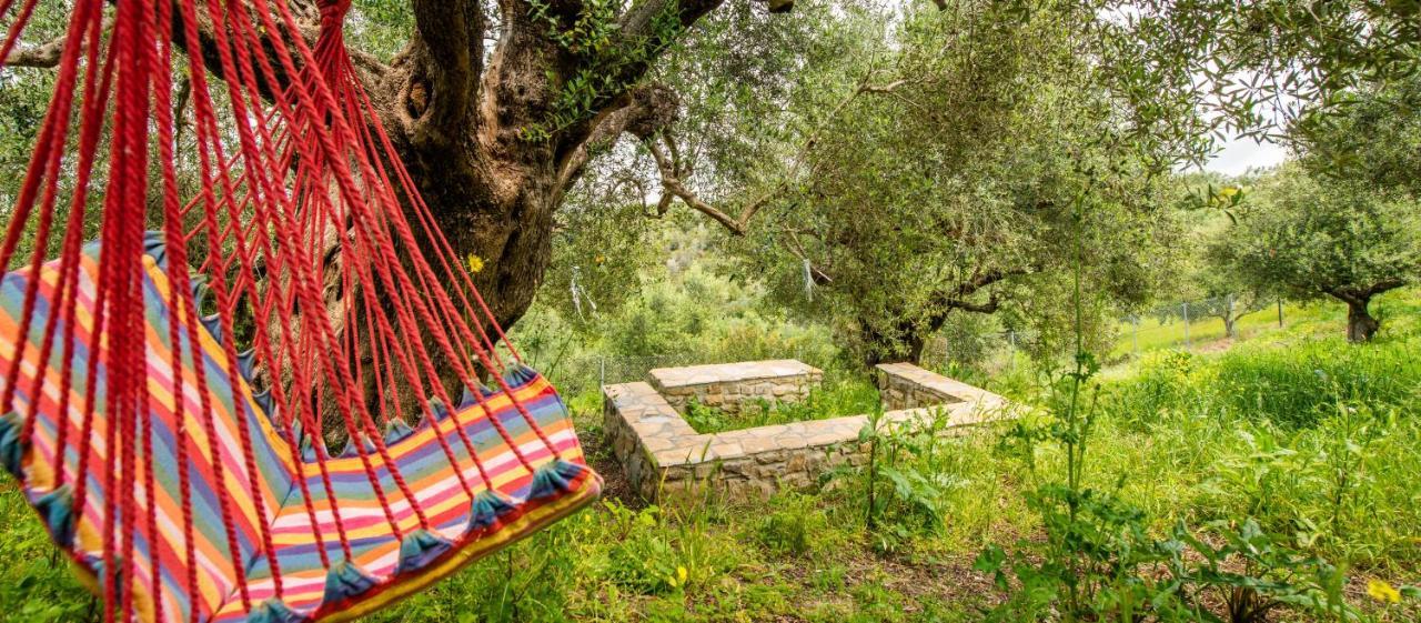 Hakuna Matata Holidays Wooden Lodge With Airco & Pool In Greek Olive Grove Methóni Kültér fotó