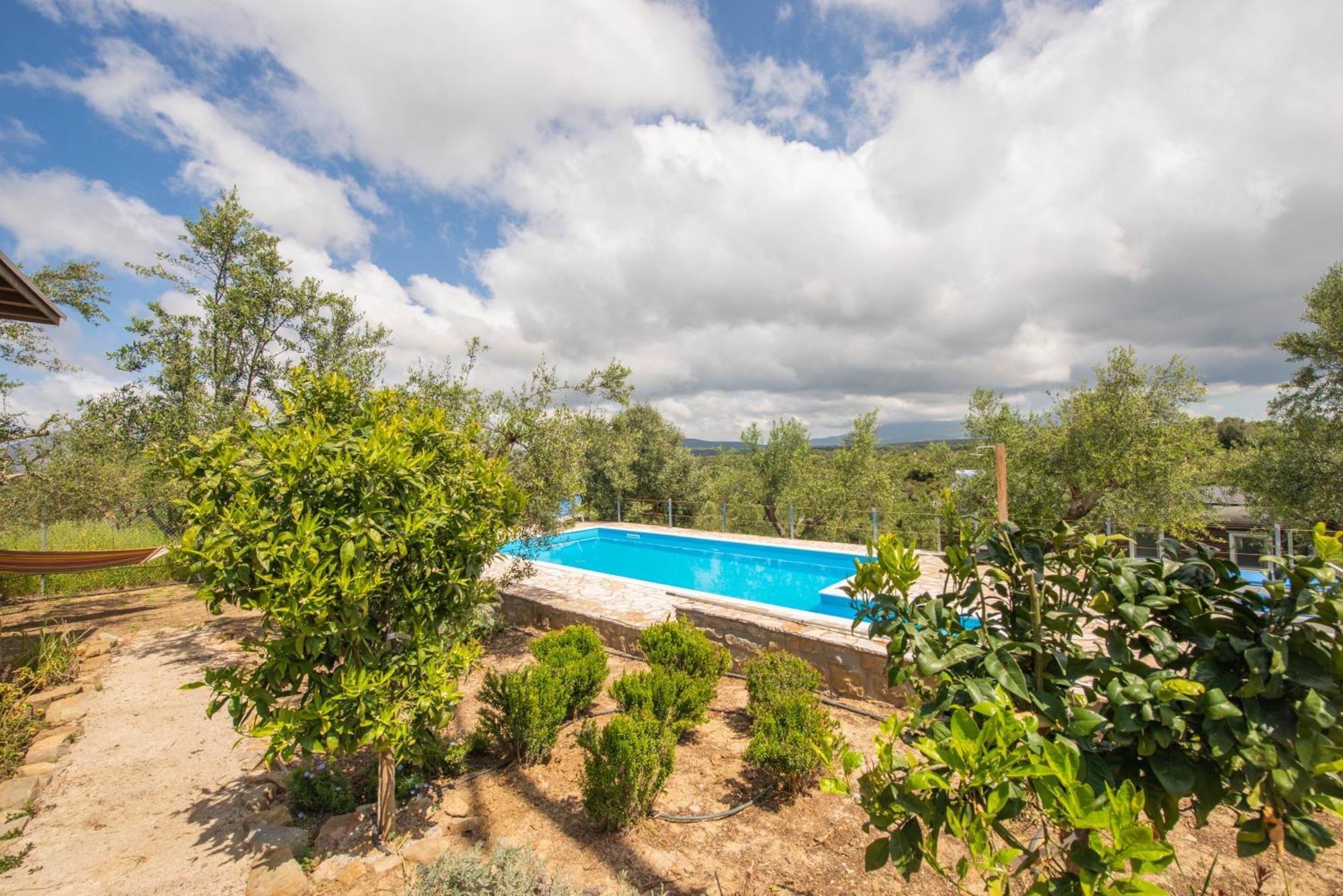 Hakuna Matata Holidays Wooden Lodge With Airco & Pool In Greek Olive Grove Methóni Kültér fotó