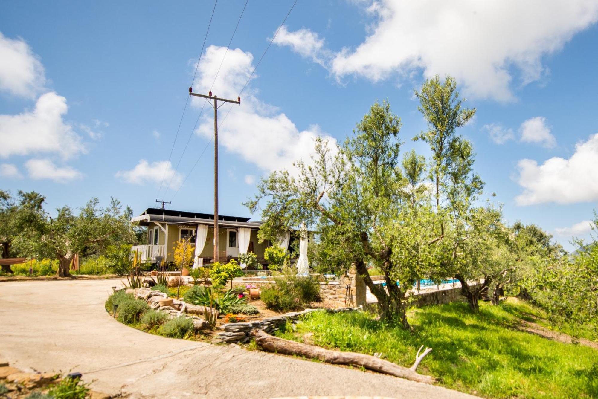 Hakuna Matata Holidays Wooden Lodge With Airco & Pool In Greek Olive Grove Methóni Kültér fotó